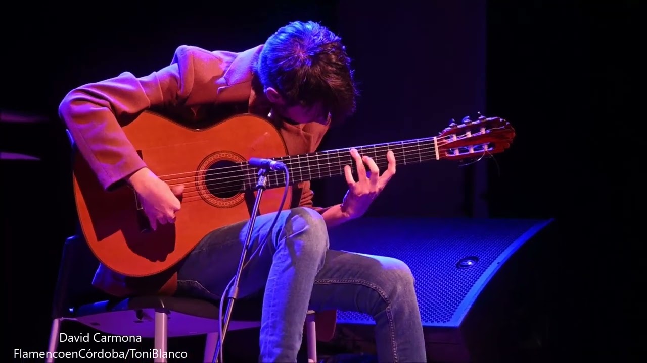 David Carmona, Auditorio Manolo Sanlucar