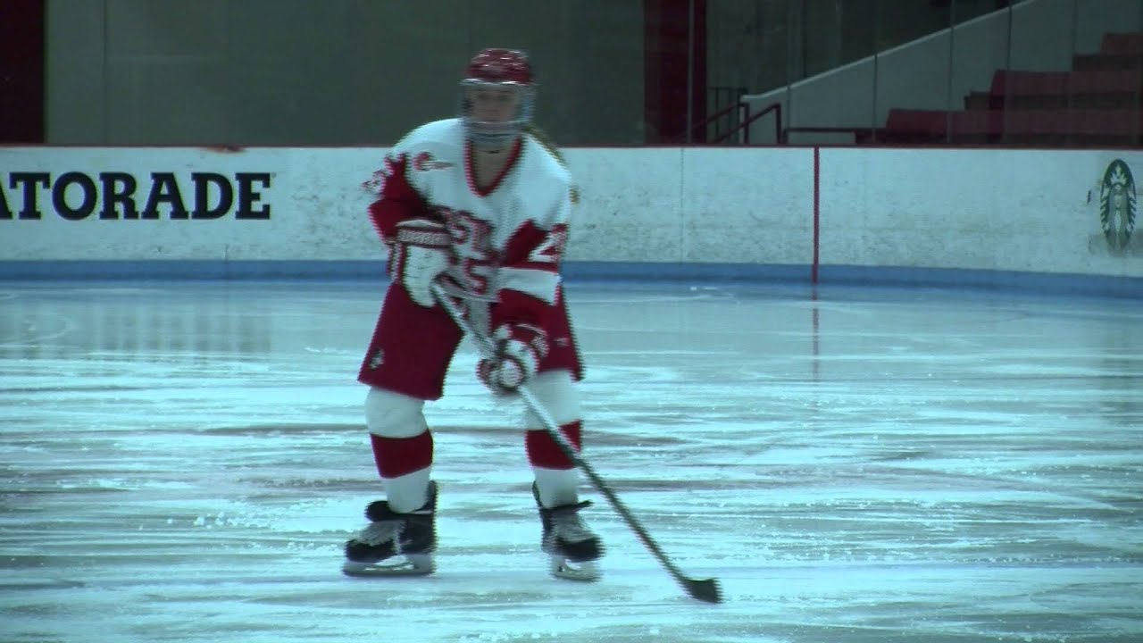 303 Final Project Marisa Ingemi: Women's Hockey BU