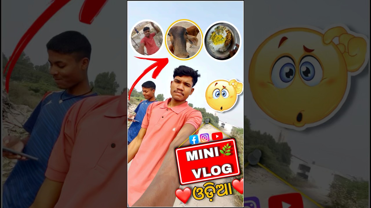 ❤️ Odia Lifestyle: A Mini Vlog Experience 🌿#vlog #minivlog