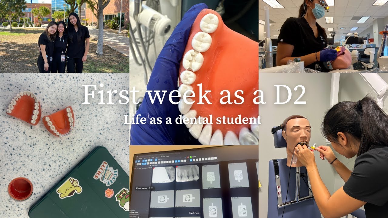 My first week as a second year dental student!