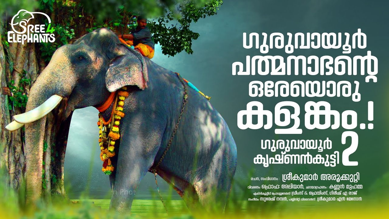 എട്ടു വർഷം കൊണ്ടുനടന്ന പാപ്പാനെ 12 പ്രാവശ്യം കുത്തിയ  ഇരുട്ടുമുണ്ടൻ ..?