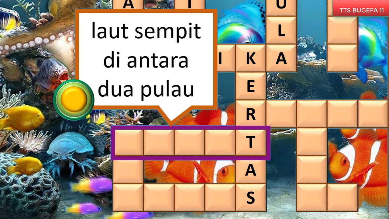 Teta Teki Silang BUGEFA 11
