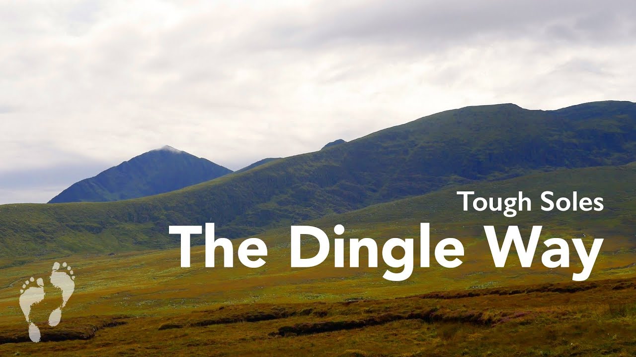 The Dingle Way 👣 The Best of Ireland
