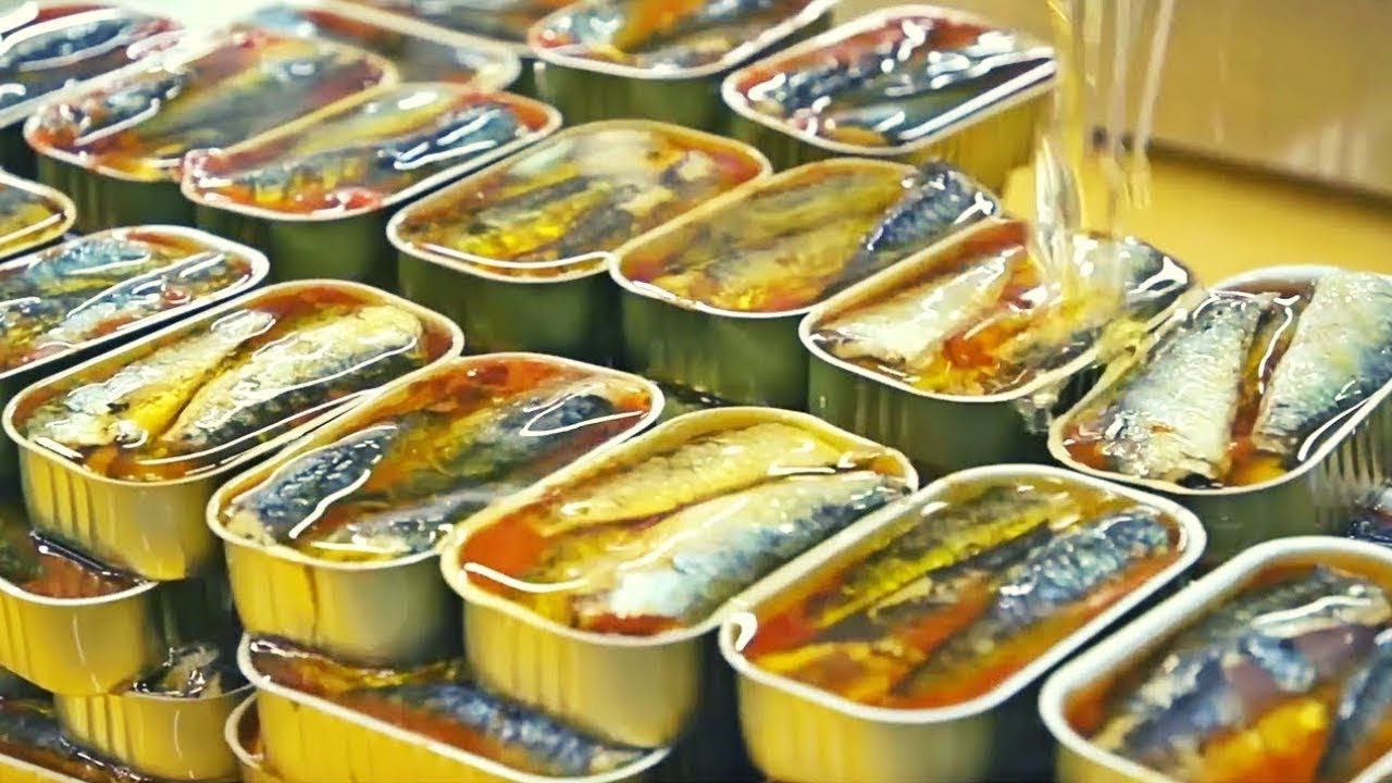 Comment les Sardines en Conserve Sont Fabriquées 🥫