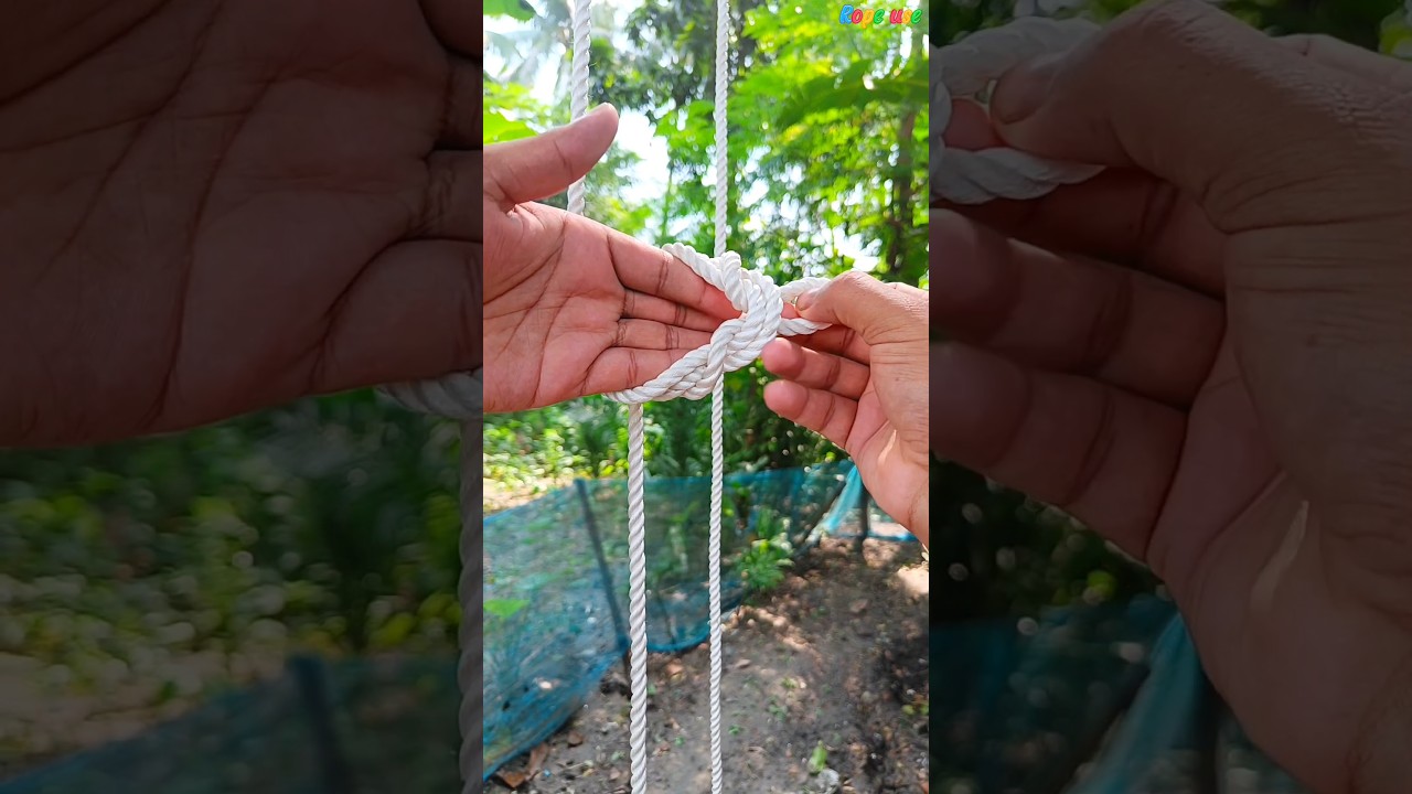 A simple way to hang a rope on a tree branch while standing down
