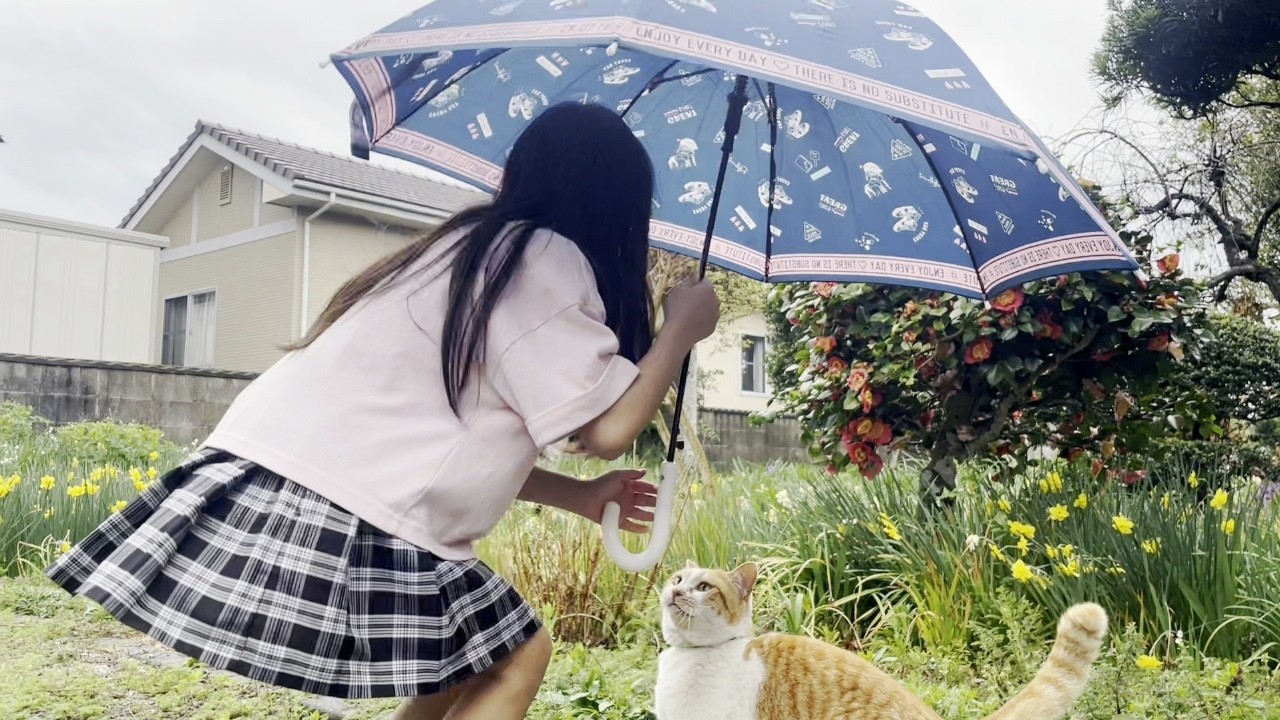 雨降るお庭で庭子猫に傘を差し出す小学生の娘…♡[三毛母猫の子猫]