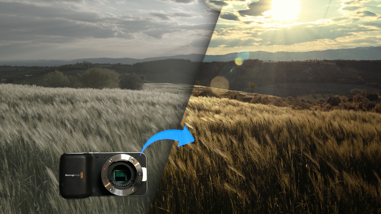How to make 12 Bit RAW footage look like film (DWG + Dehancer)