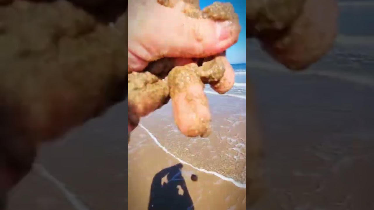 ASMR EN LA PLAYA 