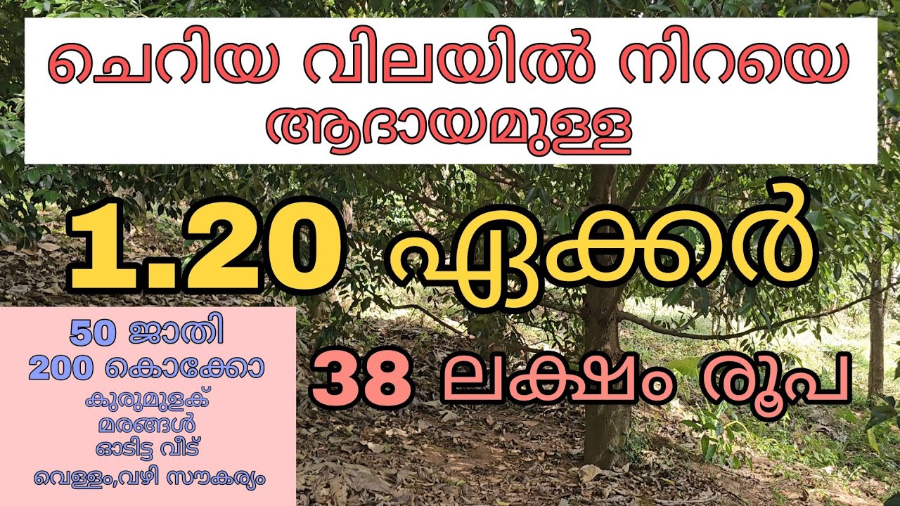 വിലക്കുറവിൽ ആദായമുള്ള 1.20 ഏക്കർ സ്ഥലവും ഓട് വീടും വിൽപ്പനയ്ക്ക്