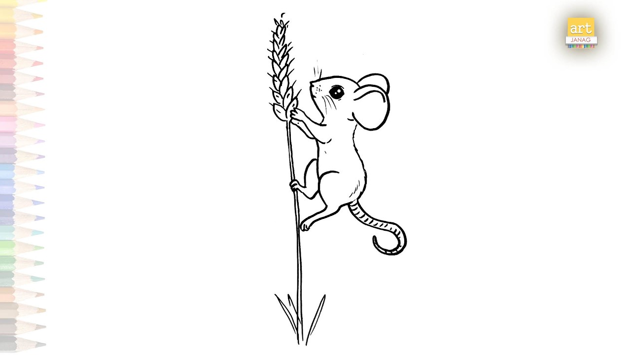 Field mouse drawings easy | Rodents drawings | How to draw A Field mouse step by step | #artjanag