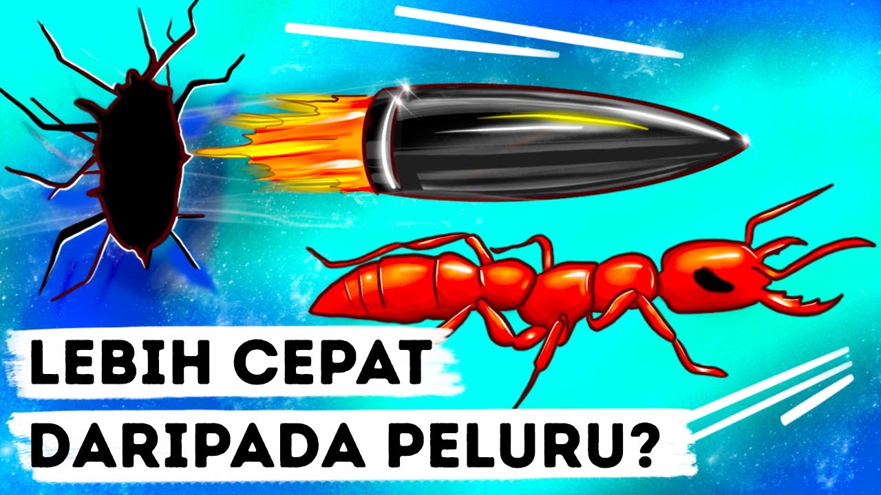 Cheetah Bukanlah Hewan Tercepat, Melainkan Serangga dengan Gigitan Mengerikan ?