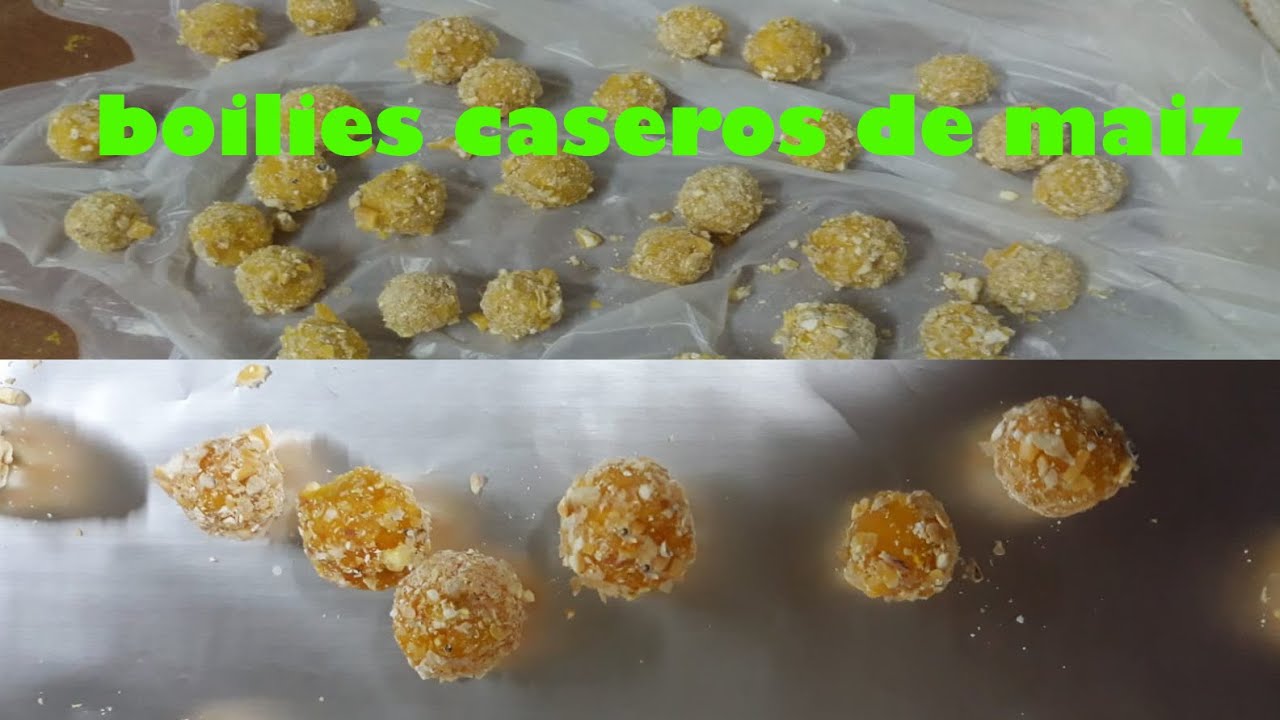 Receta boilies de maiz casera