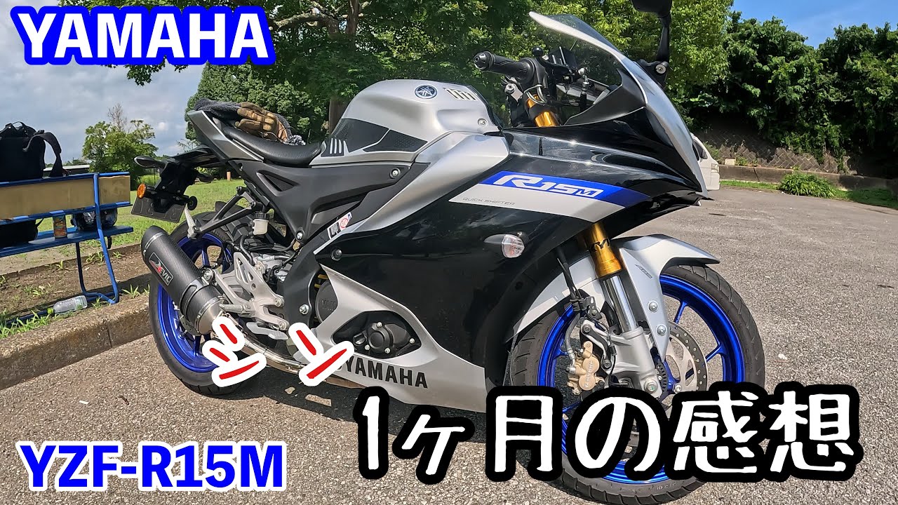 [YAMAHA]シン1ヶ月乗った感想文[YZF-R15M]No.78