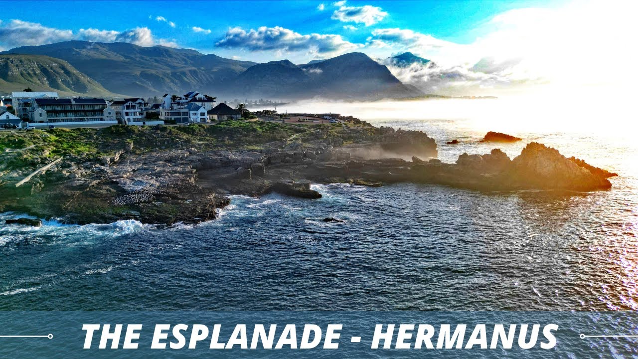 The Esplanade Apartment Hotel   Hermanus South Africa