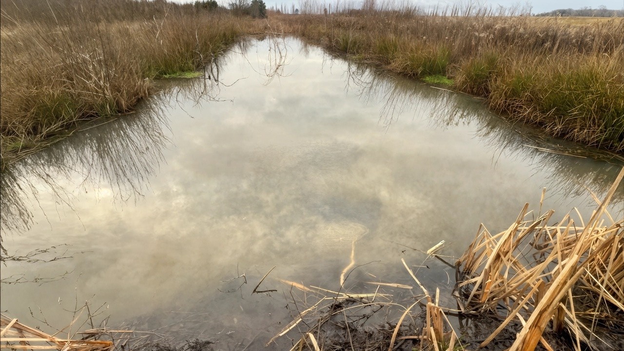 I Breached a Massive Beaver Dam — This Happened Next