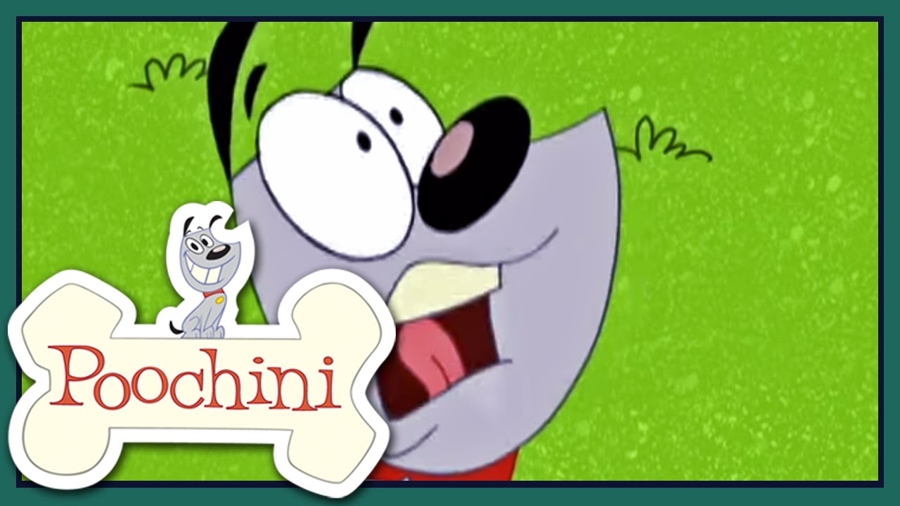 Poochini - Episódio 7 - Heatwave / Love Cats / Tar Dog