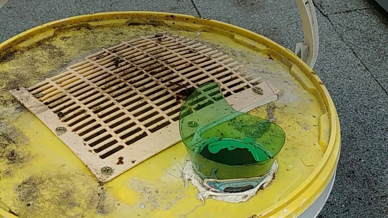 Tome 22 – Combat contre le frelon asiatique. Combat contre la fièvre d’essaimage.