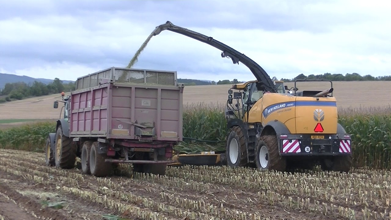 Sklizeň Kukuřice 2019 s New Holland FR 650