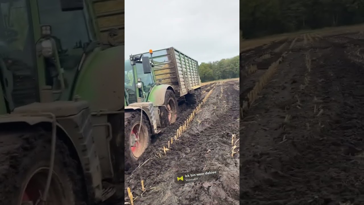 Hab das n&auml;chste Loch gefunden 🙈 #farming #fendt #bauernhof #maisernte