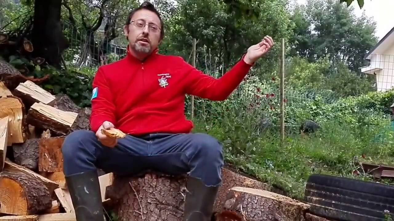 Flavio Troisi e il suo giardino - foresta