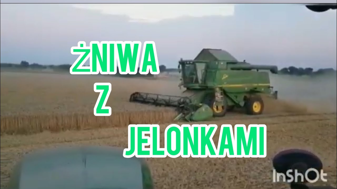 Żniwa pszenicy 🔥🤟🏻💚 John DEERE 7930,6810,9640 wts hilmaster 2