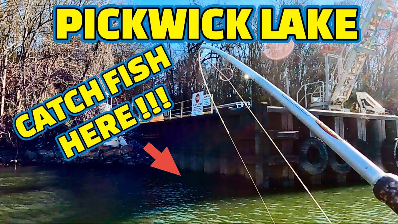 EXTREMELY AGGRESSIVE FISH BITE !! Fishing PICKWICK LAKE on TENNESSEE RIVER ( Mr. JIMMY)