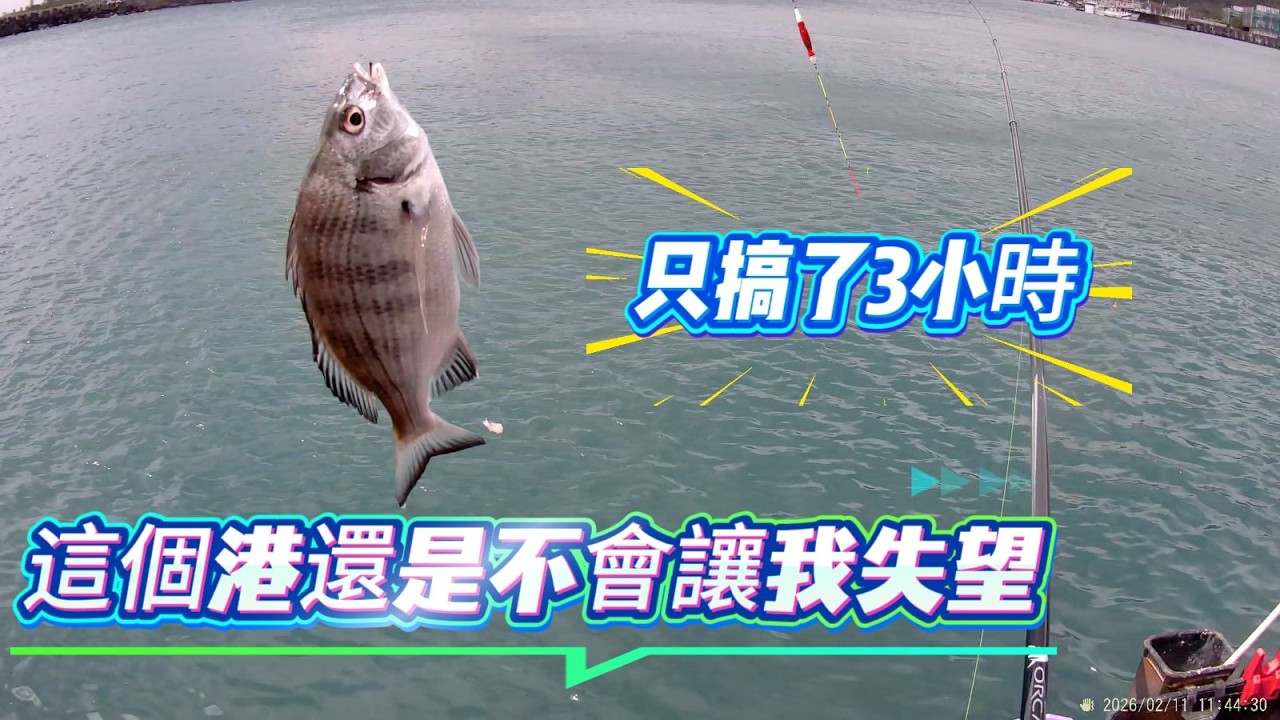漁港 釣魚區 烏魚 虱目魚 黑鯛 沙格 (箱)河豚 土黃 都手掌大 (這裡叫阿扁！)哈哈  很好玩  又輕鬆 宜蘭 烏石港 20260211