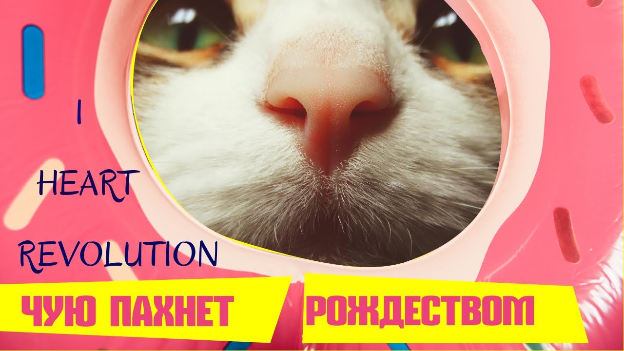 РОЖДЕСТВЕНСКИЙ ЗАМЕС ОТ I HEART REVOLUTION! РАСПАКОВКА TASTY CHRISTMAS HAMPER