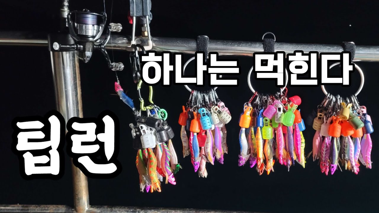 팁런 입질 잘 탔던 에기 보고 가세요(어쩌다 장원2)