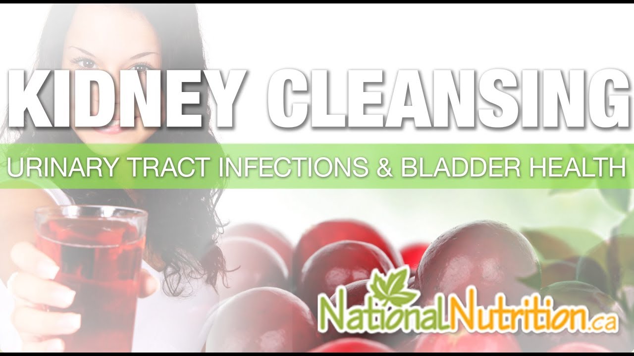 Natural Health Reviews - Bladder & Kidney Cleansing - Urinary Tract infection | National Nutrition