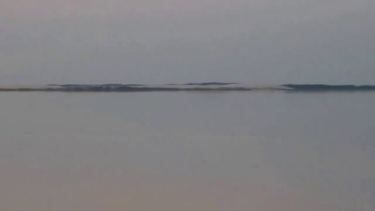 Lato nad jeziorem Łebsko