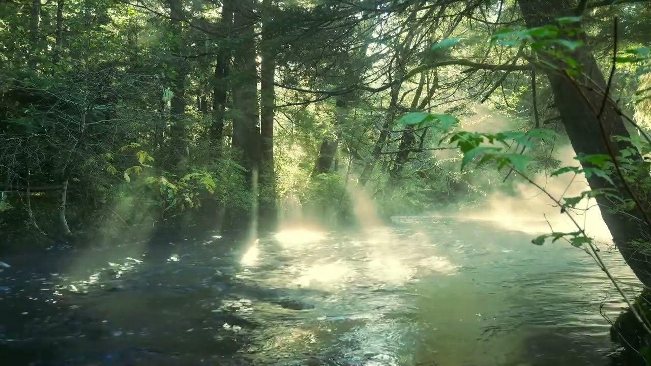 High Frun - Music by Oel