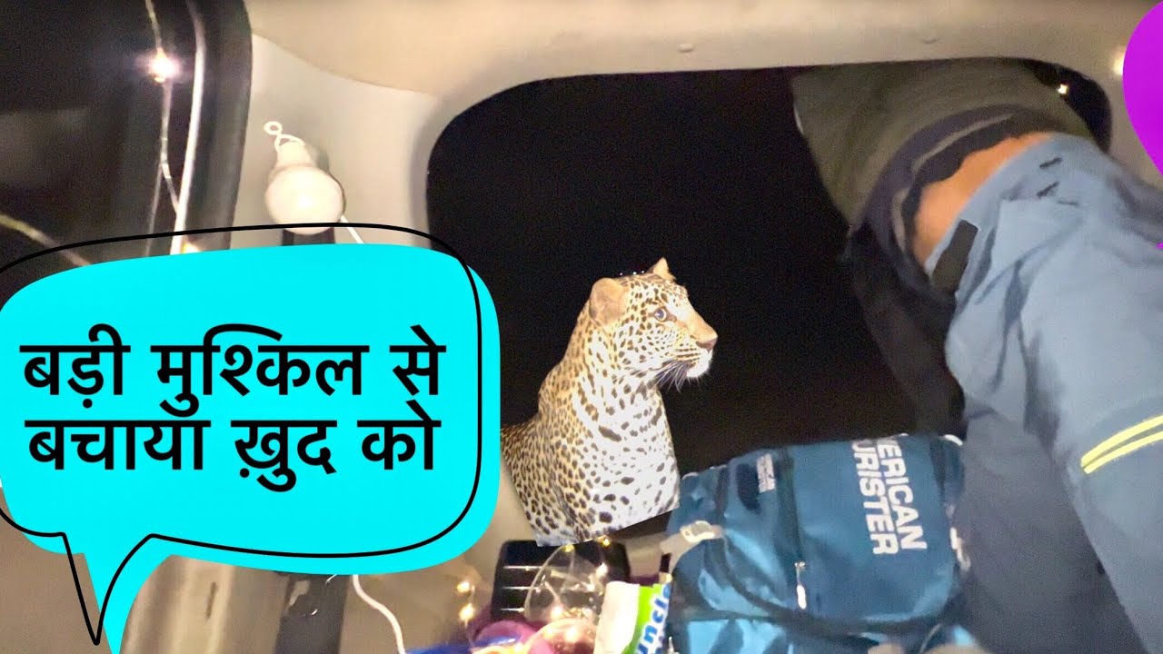 Leopard से जान बचाकर भागना पढ़ा | OverNight Tent Camping in India Dangerous Forest | Jammu & Kashmir