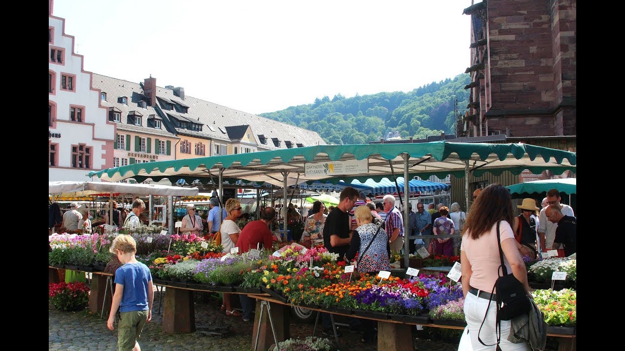 Freiburger Münstermarkt - Eine kulinarische Führung