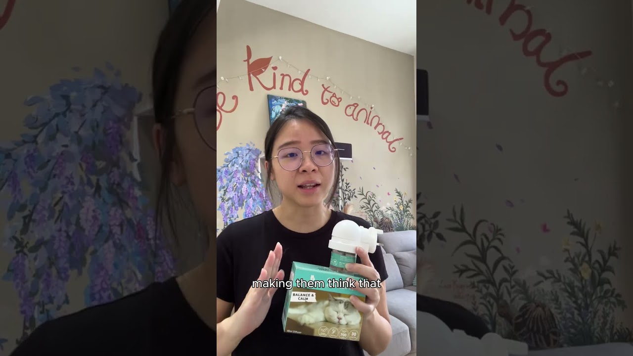 How to stop cats from fighting?