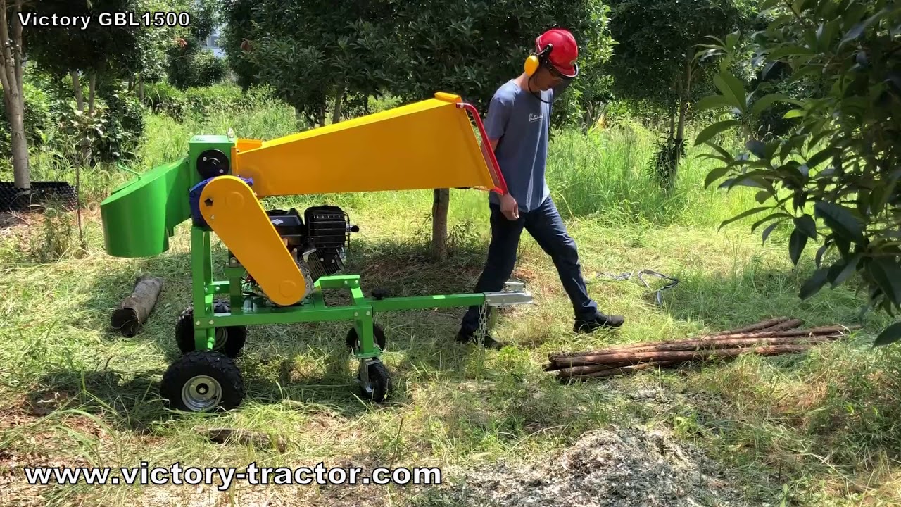 Victory GBL 1500 Grob Holzhacker mit Briggs&Stratton Motor
