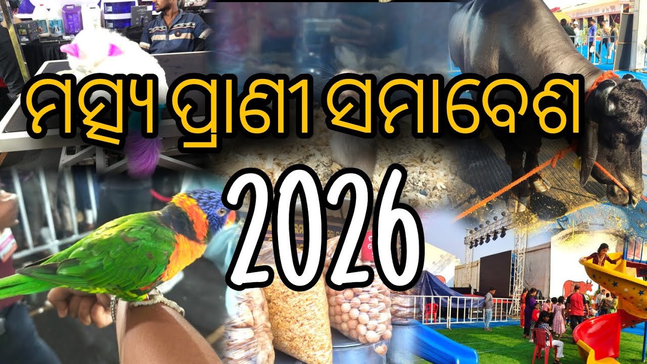 ମତ୍ସ୍ୟ ପ୍ରାଣୀ ସମାବେଶ 2026 #youtube #mela #ytviral #vlog&broth #viral #animals #vlog #youtuber 
