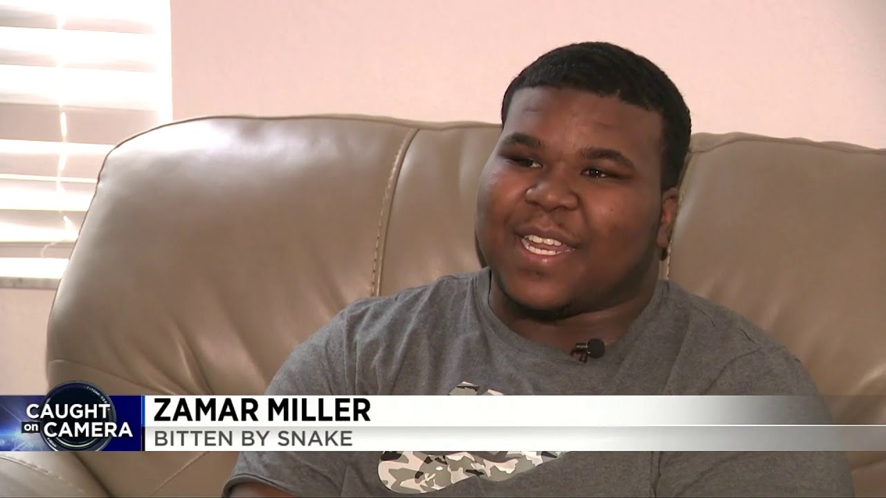Man talks about dangerous snake bite in Pembroke Pines