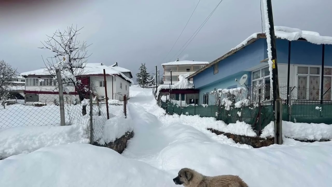 Aliclibucak Kışı
