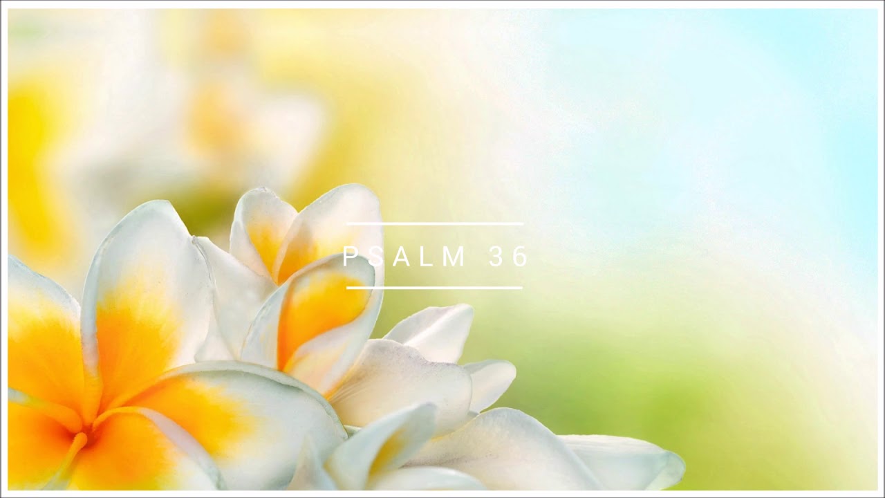 Psalm 36 Biblia warszawska