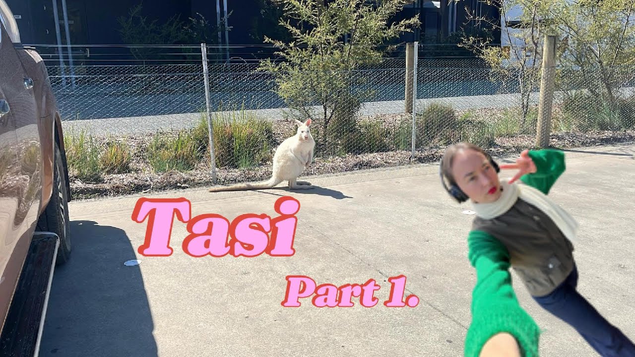 One month in Tasmania - PART1 🦘