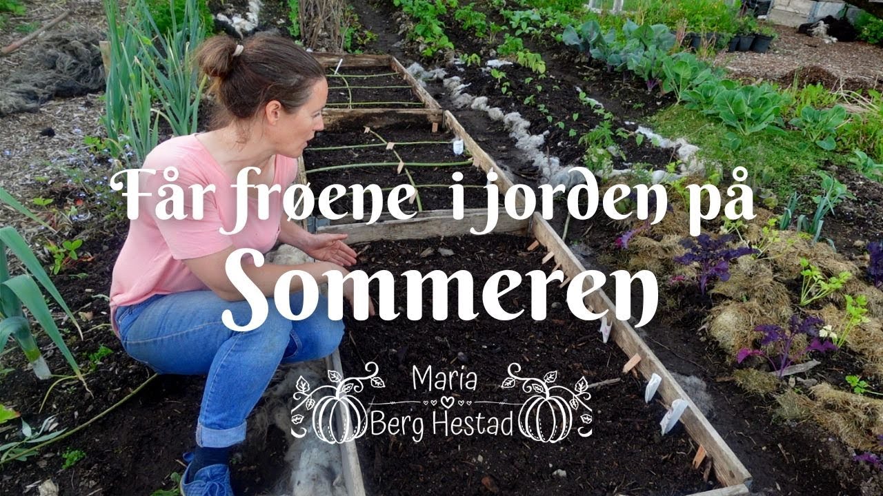 Få frøene i jorden på sommeren
