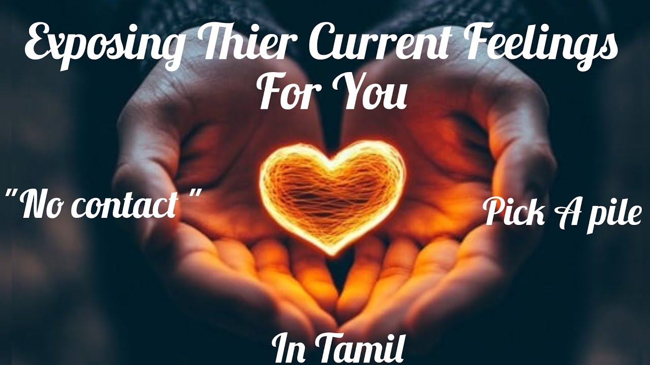 Thier Current Feelings About You in Tamil #tarotreadingintamil #nocontactrelationship