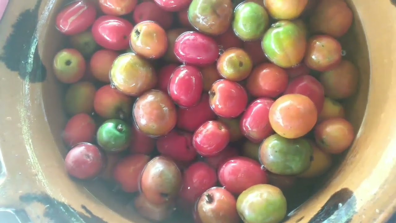 cómo hacer dulce de ciruela. está delicioso