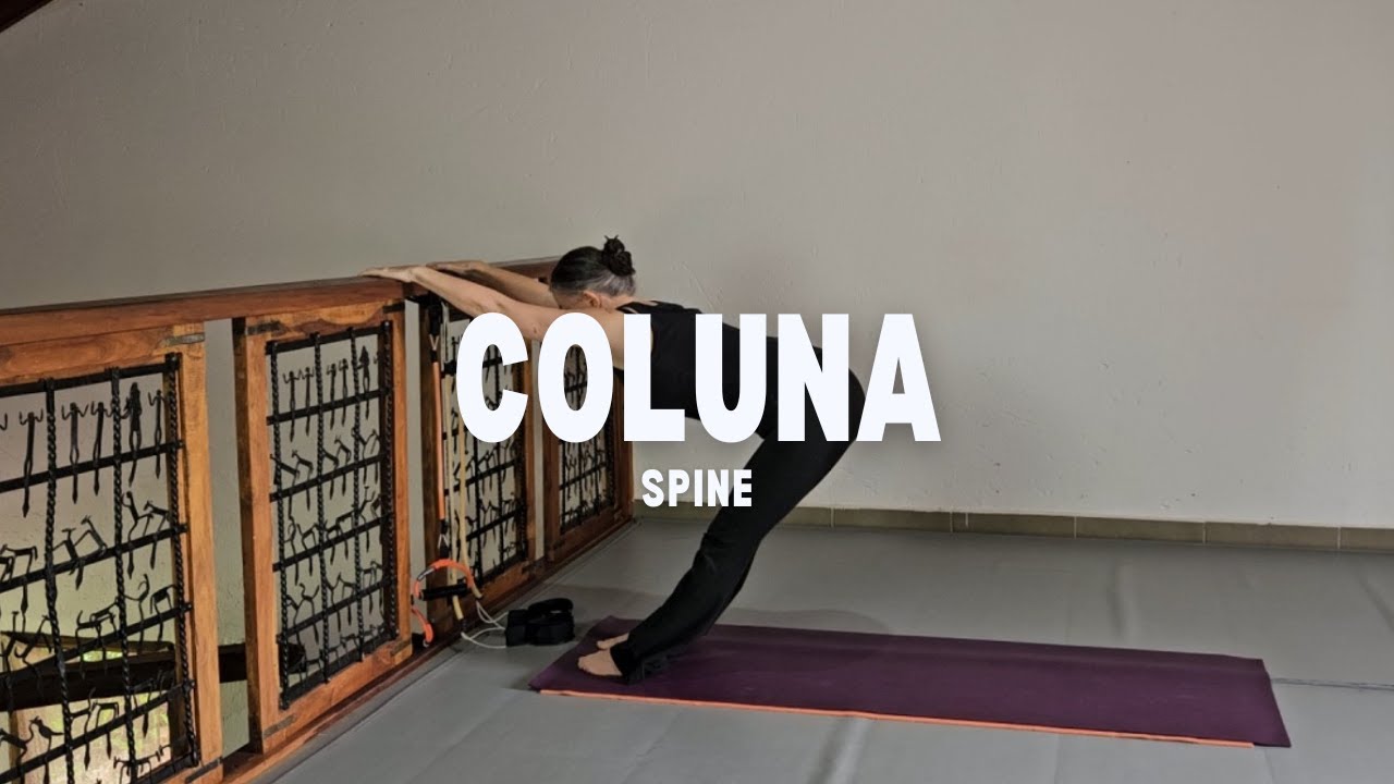 Coluna vertebral  |  Spine