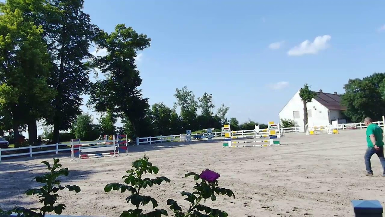 Zawdy Regionalne w Skokach przez Przeszkody