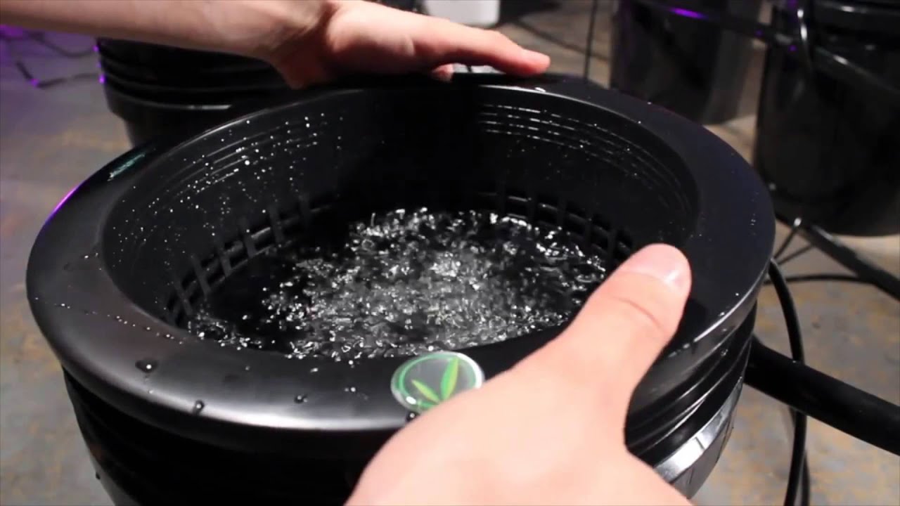 Bubble Flow Buckets  How to grow with 2012 best bucket system