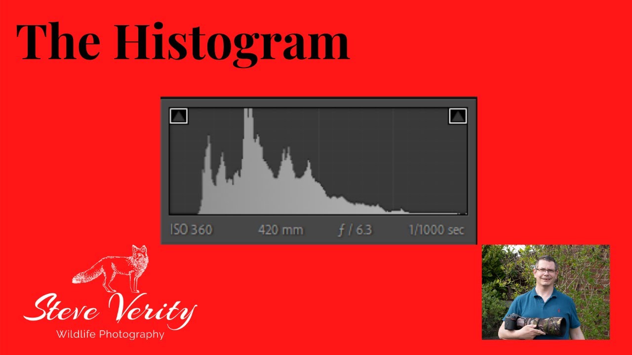 The Histogram