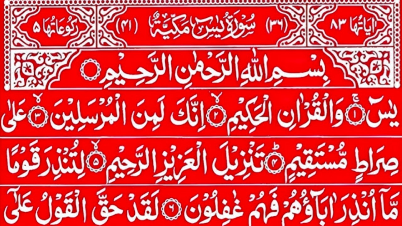 Surah Yaseen Sharif l Surah Yaseen Surah Ar Rahman l Best Qur'an Recitation l Ep 13