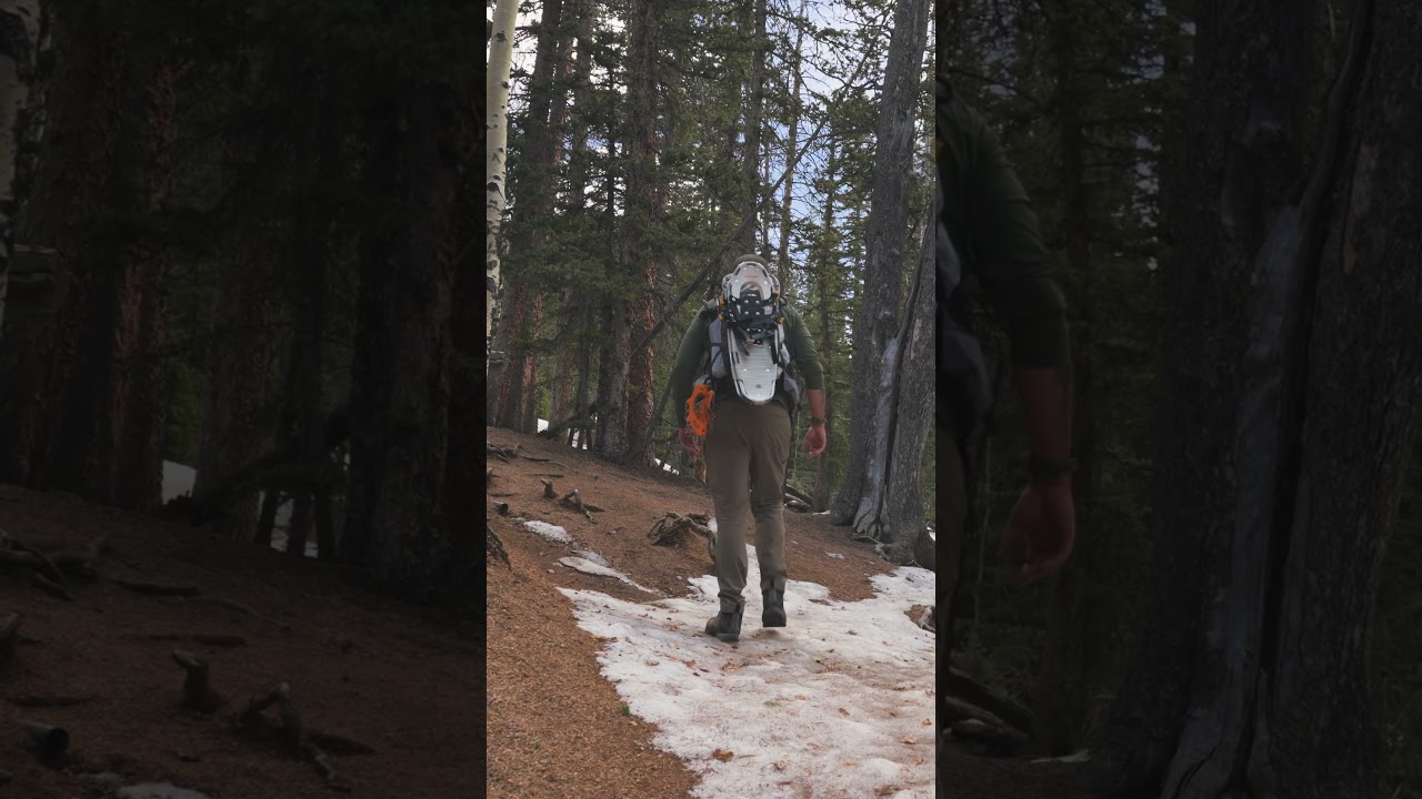 Hiking The Crags in Pike National Forest: Epic Views & Rocky Trails 🏞️🥾